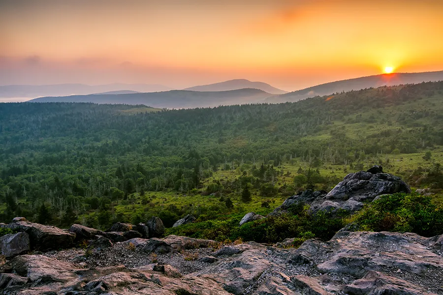 virginia bioidentical hormone doctors directory Bioidentical Hormone Therapy Doctors Directory